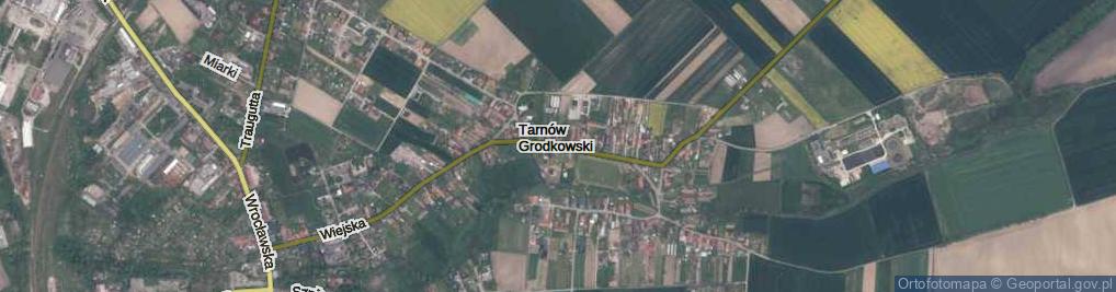 Zdjęcie satelitarne Tarnów Grodkowski ul.
